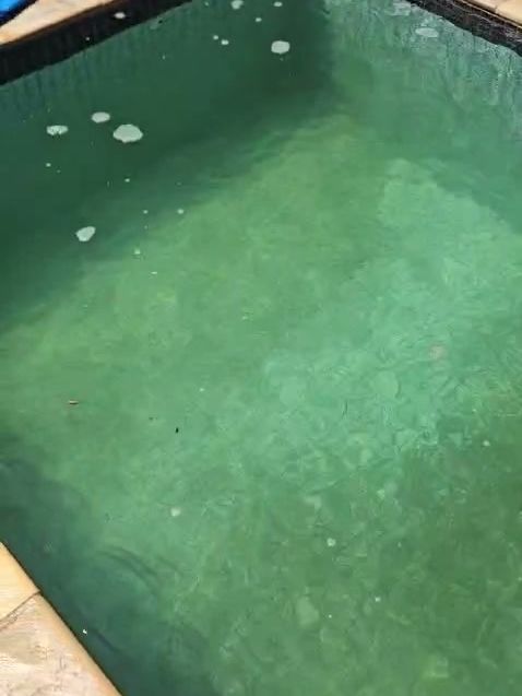 Antes: piscina com água verde escura