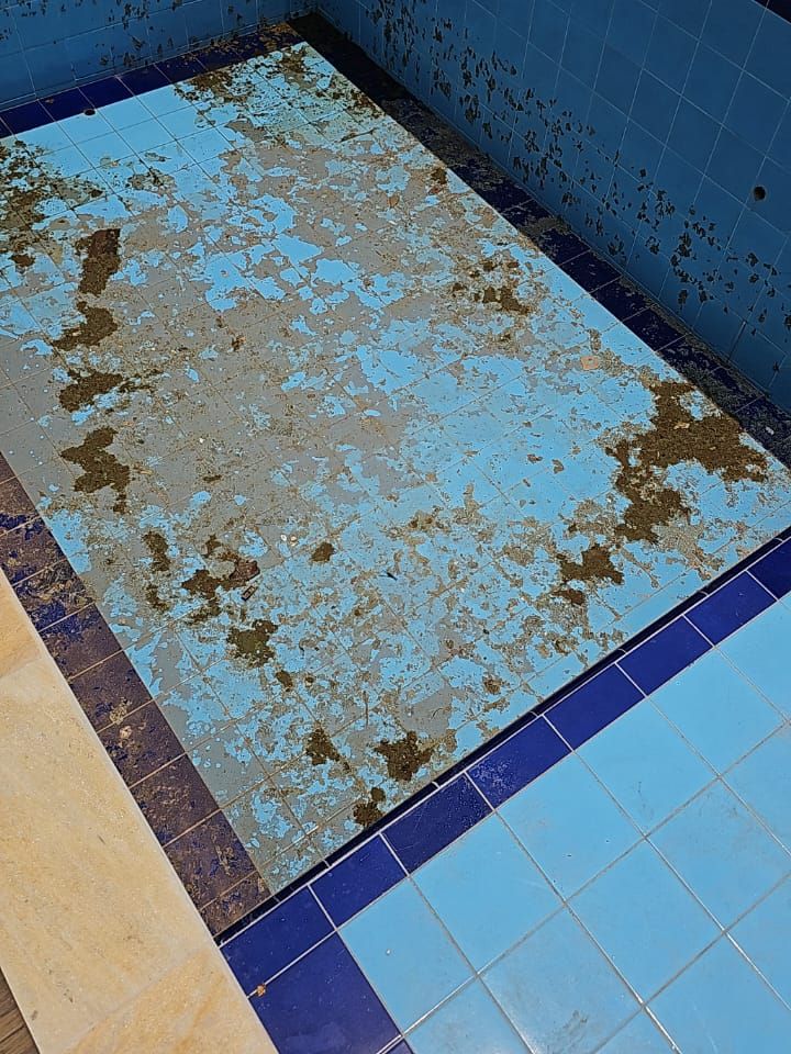 Piscina de azulejo com sujeira acumulada e água parada